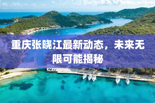 重庆张晓江最新动态，未来无限可能揭秘