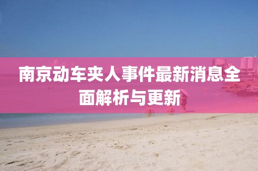 南京动车夹人事件最新消息全面解析与更新