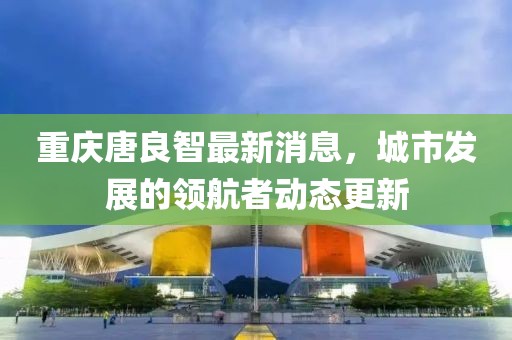 重庆唐良智最新消息，城市发展的领航者动态更新