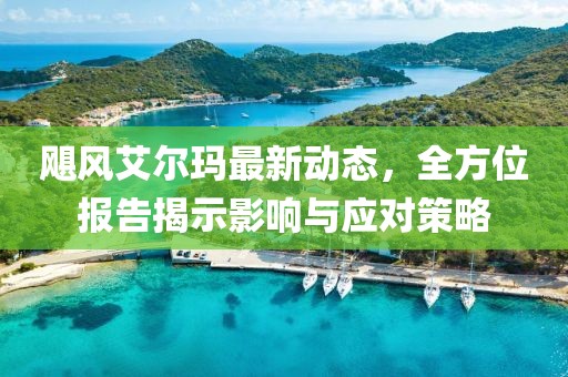 飓风艾尔玛最新动态，全方位报告揭示影响与应对策略
