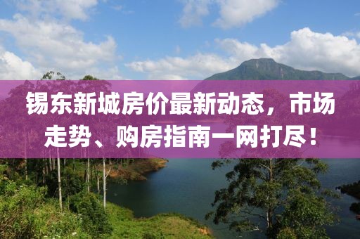 锡东新城房价最新动态，市场走势、购房指南一网打尽！