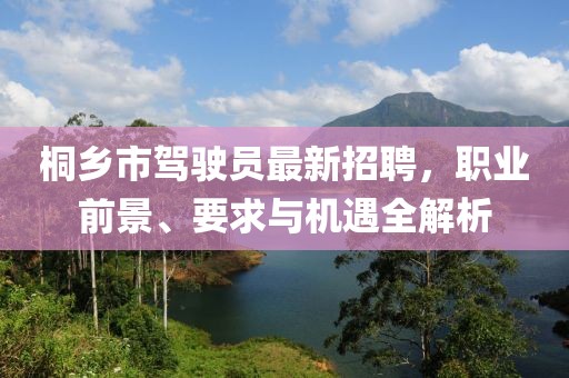 桐乡市驾驶员最新招聘，职业前景、要求与机遇全解析