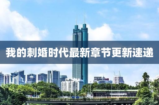 我的刺婚时代最新章节更新速递