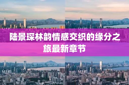 陆景琛林韵情感交织的缘分之旅最新章节