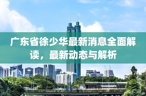 广东省徐少华最新消息全面解读，最新动态与解析