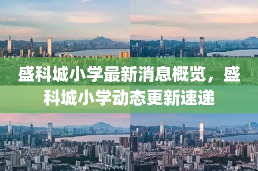 盛科城小学最新消息概览，盛科城小学动态更新速递