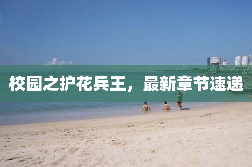 校园之护花兵王，最新章节速递