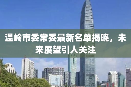 温岭市委常委最新名单揭晓，未来展望引人关注