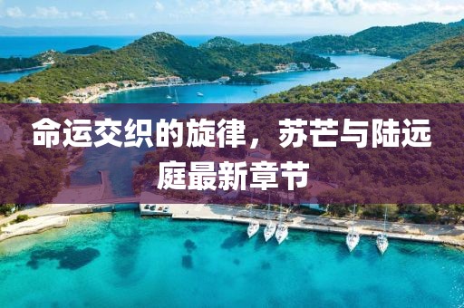 命运交织的旋律，苏芒与陆远庭最新章节