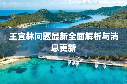 王宜林问题最新全面解析与消息更新