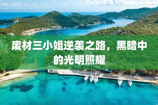 废材三小姐逆袭之路，黑暗中的光明照耀