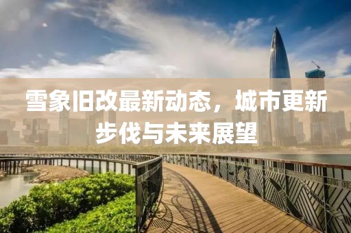 雪象旧改最新动态，城市更新步伐与未来展望