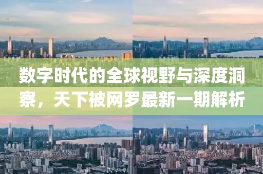数字时代的全球视野与深度洞察，天下被网罗最新一期解析