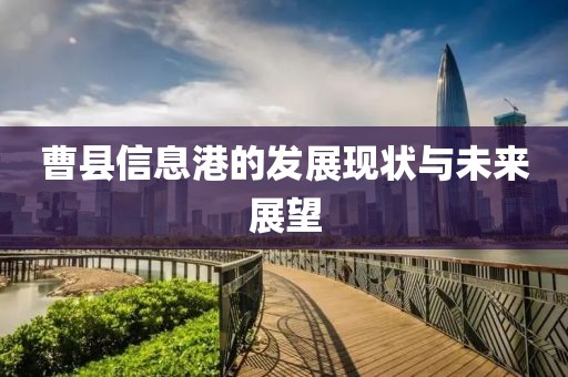 曹县信息港的发展现状与未来展望