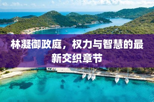 林凝御政庭，权力与智慧的最新交织章节