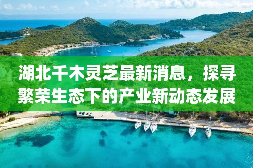 湖北千木灵芝最新消息，探寻繁荣生态下的产业新动态发展