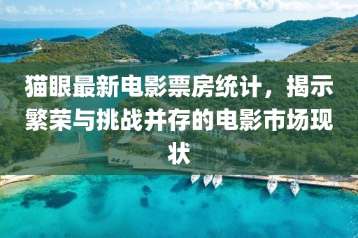猫眼最新电影票房统计，揭示繁荣与挑战并存的电影市场现状