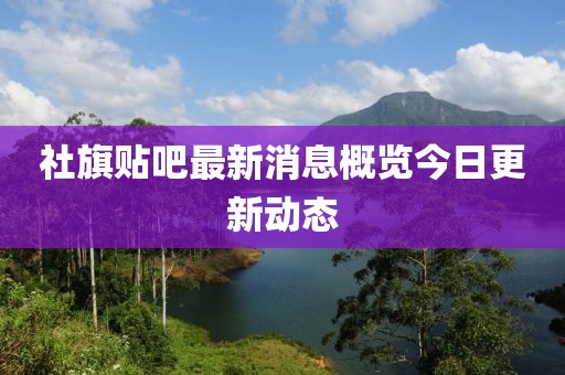 孤行者 第11页