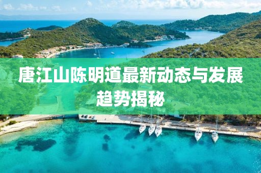 唐江山陈明道最新动态与发展趋势揭秘