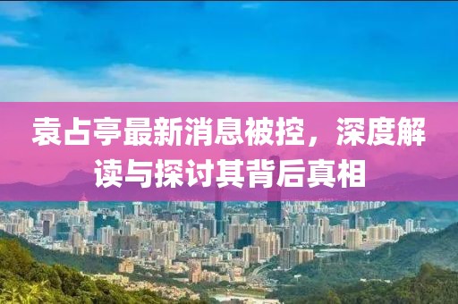袁占亭最新消息被控，深度解读与探讨其背后真相