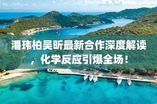 潘玮柏吴昕最新合作深度解读，化学反应引爆全场！