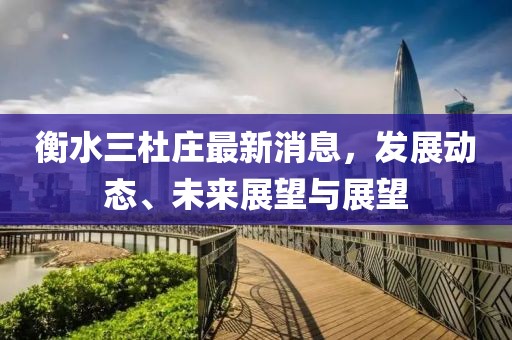 衡水三杜庄最新消息，发展动态、未来展望与展望