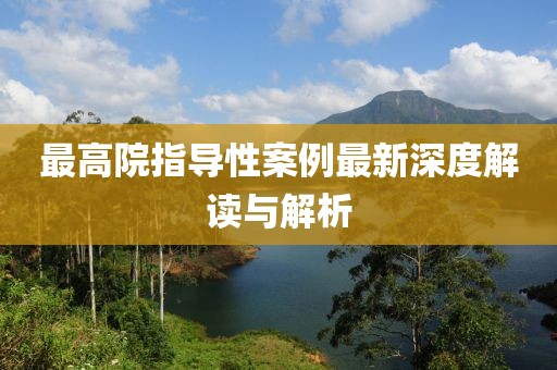 最高院指导性案例最新深度解读与解析