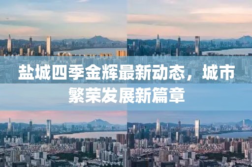 盐城四季金辉最新动态，城市繁荣发展新篇章