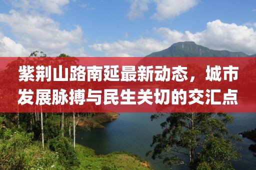 紫荆山路南延最新动态，城市发展脉搏与民生关切的交汇点