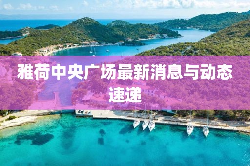 雅荷中央广场最新消息与动态速递