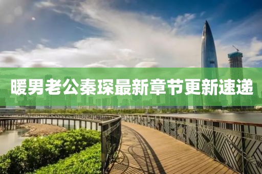 暖男老公秦琛最新章节更新速递