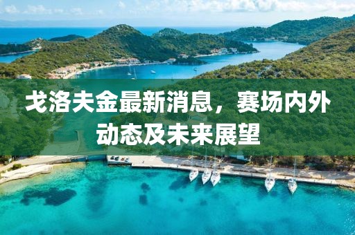 戈洛夫金最新消息，赛场内外动态及未来展望
