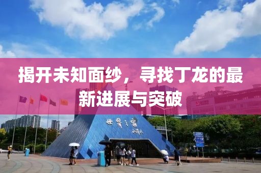 揭开未知面纱，寻找丁龙的最新进展与突破