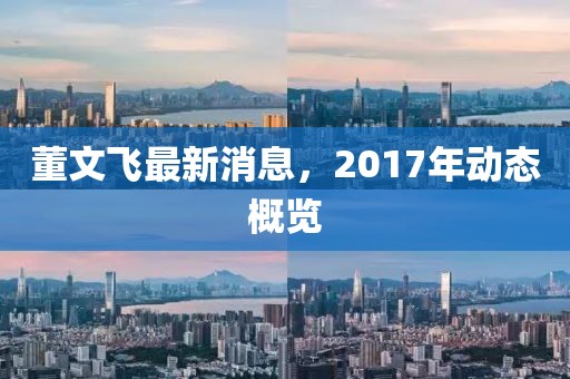 董文飞最新消息，2017年动态概览