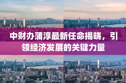 中财办蒲淳最新任命揭晓，引领经济发展的关键力量