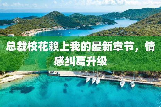 总裁校花赖上我的最新章节，情感纠葛升级