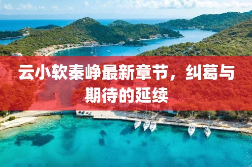 云小软秦峥最新章节，纠葛与期待的延续