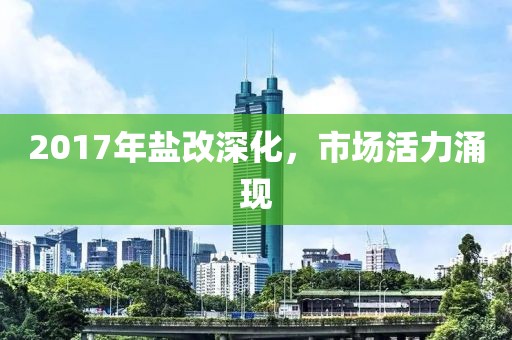 2017年盐改深化，市场活力涌现