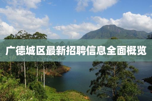 广德城区最新招聘信息全面概览