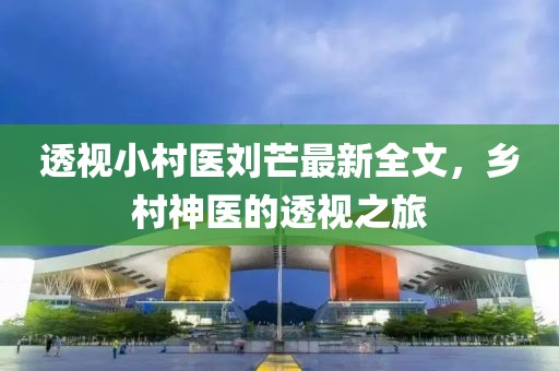 透视小村医刘芒最新全文，乡村神医的透视之旅
