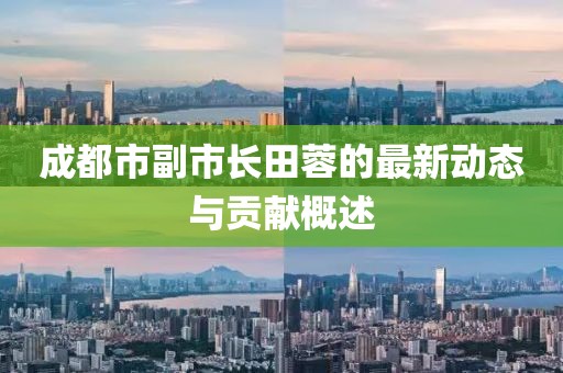 成都市副市长田蓉的最新动态与贡献概述