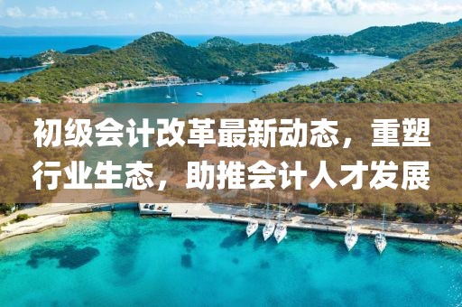 初级会计改革最新动态，重塑行业生态，助推会计人才发展