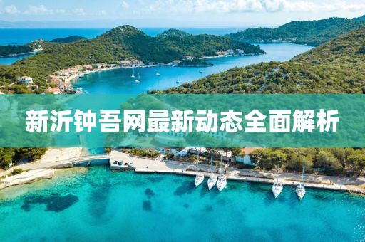 新沂钟吾网最新动态全面解析