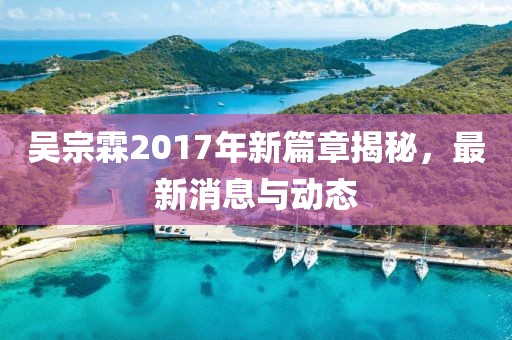吴宗霖2017年新篇章揭秘，最新消息与动态