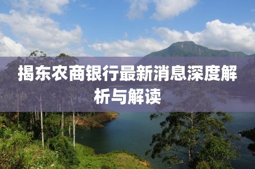 揭东农商银行最新消息深度解析与解读