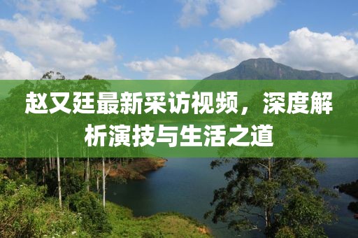 赵又廷最新采访视频，深度解析演技与生活之道