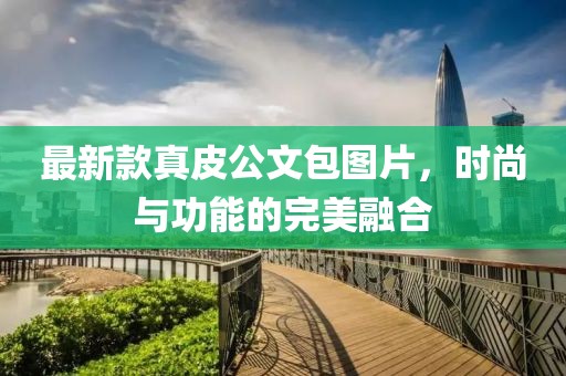 最新款真皮公文包图片，时尚与功能的完美融合