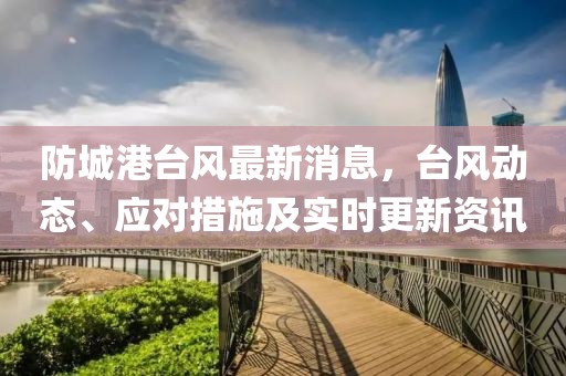 防城港台风最新消息，台风动态、应对措施及实时更新资讯
