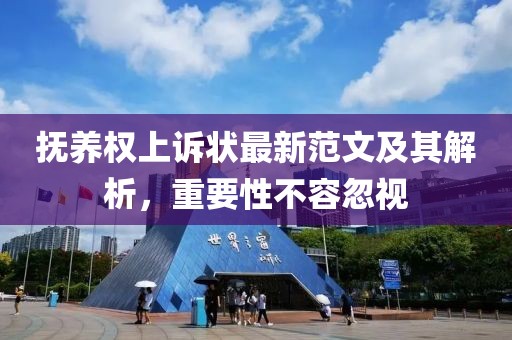 抚养权上诉状最新范文及其解析，重要性不容忽视