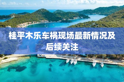 桂平木乐车祸现场最新情况及后续关注